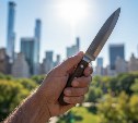 22-летний сахалинец с ножом напал на инвалида и отнял браслет, кепку и 100 рублей