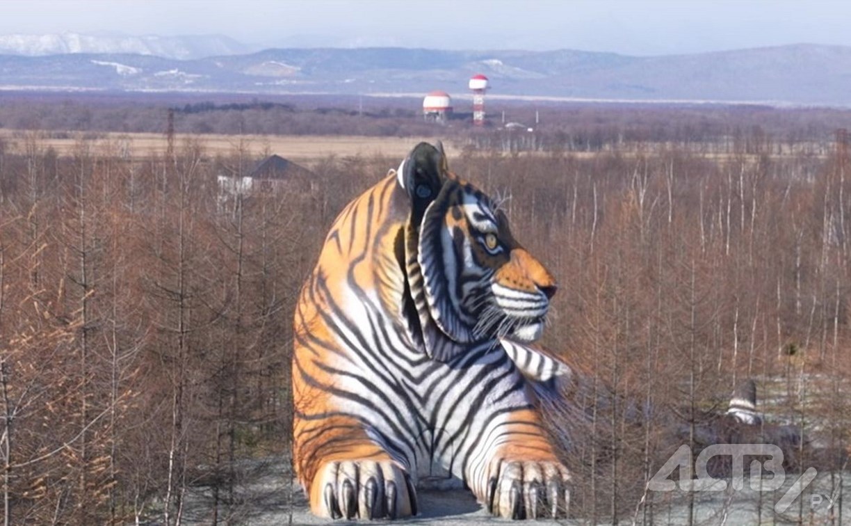 На Сахалине построили самую большую в России статую тигра - скоро её превратят в музей