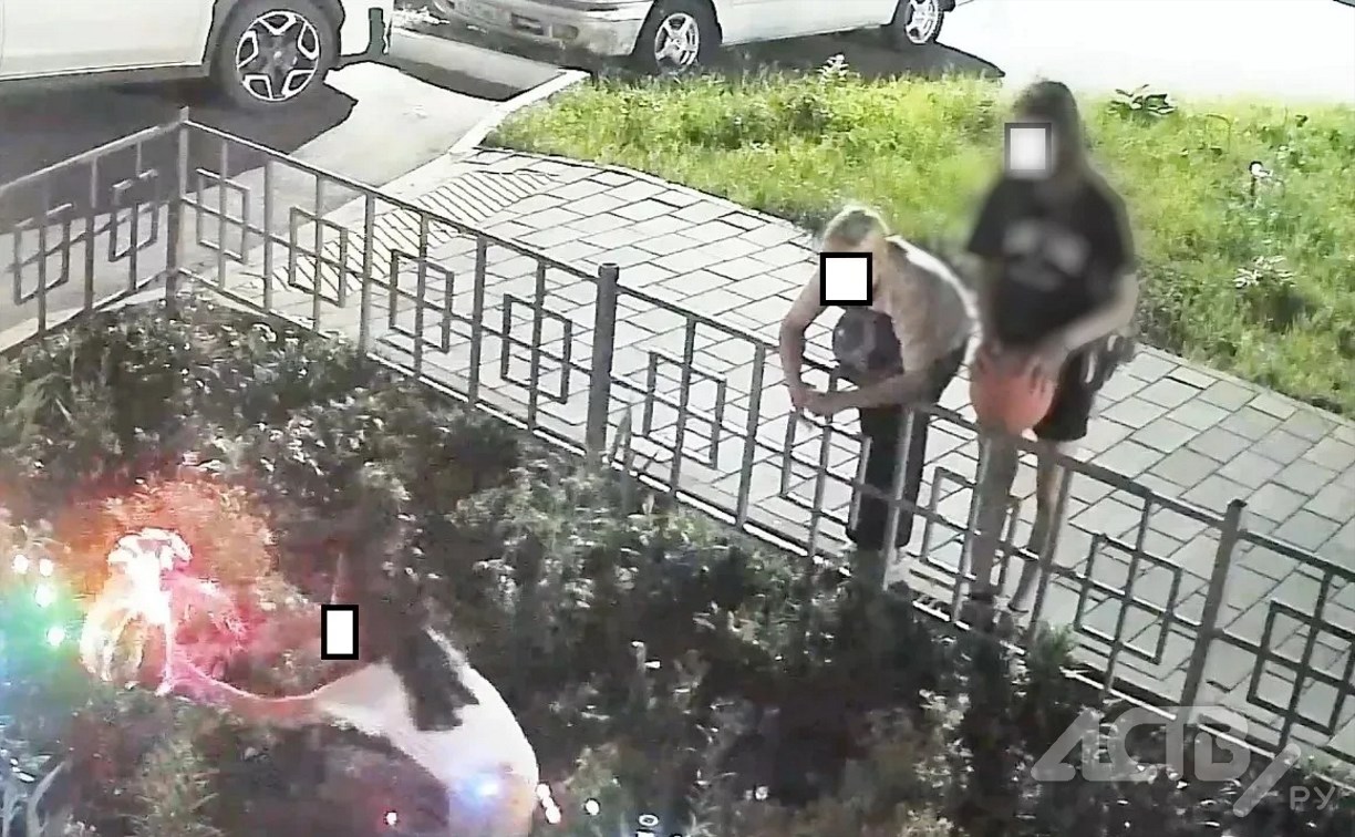 В Холмске вандалы трижды украли садовые фонари с клумбы у дома 