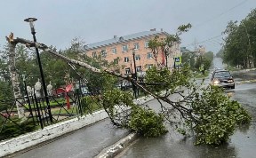 Происшествия