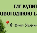 Успей к Новому году - адреса елочных базаров в Южно-Сахалинске 