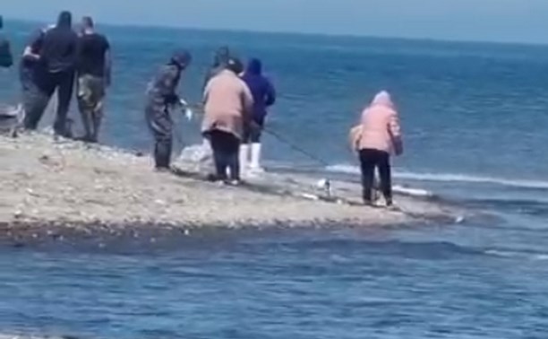 "Мы рыбу вверху ищем, а её в устье сетями выгребают"