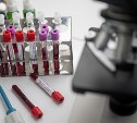 Исследования вакцины против коронавируса завершат в конце июля