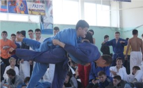 Спорт