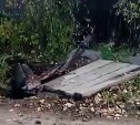 В селе Онор пьяные на автомобиле сбили уличную колонку, оставив часть жителей без воды 