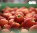 В России предложили "автоштрафы" за продажу просрочки