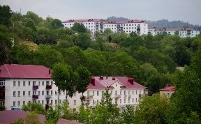 Общество