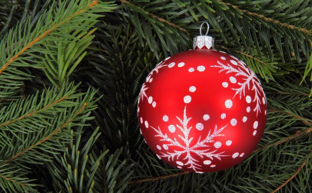 Стало известно, сколько будут стоить живые новогодние ёлки на Сахалине 