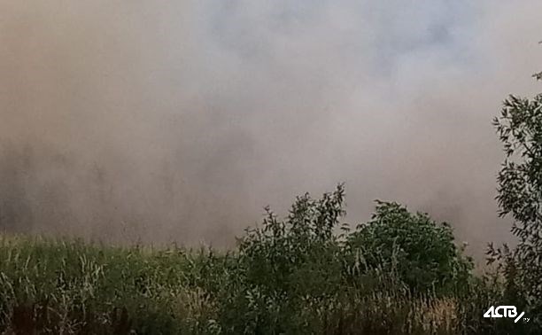 Очевидцы: в Углегорском районе вспыхнуло поле, огонь движется к лесу
