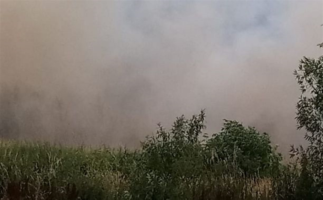 Очевидцы: в Углегорском районе вспыхнуло поле, огонь движется к лесу
