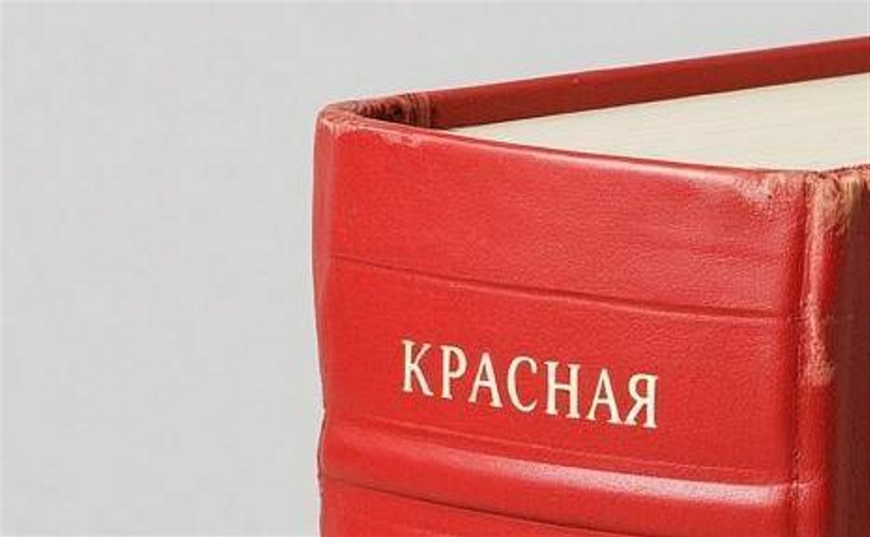 Парамоера коропоккуру, северная качурка и другие: на Сахалине определяют, кого внести в Красную книгу области