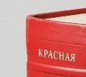Парамоера коропоккуру, северная качурка и другие: на Сахалине определяют, кого внести в Красную книгу области