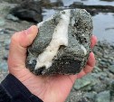 Турист нашёл на берегу моря камень с рисунком, похожим на Сахалин