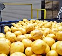 Сахалинский картофель закончится в магазинах островного региона к июлю