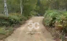 Общество