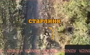 Общество