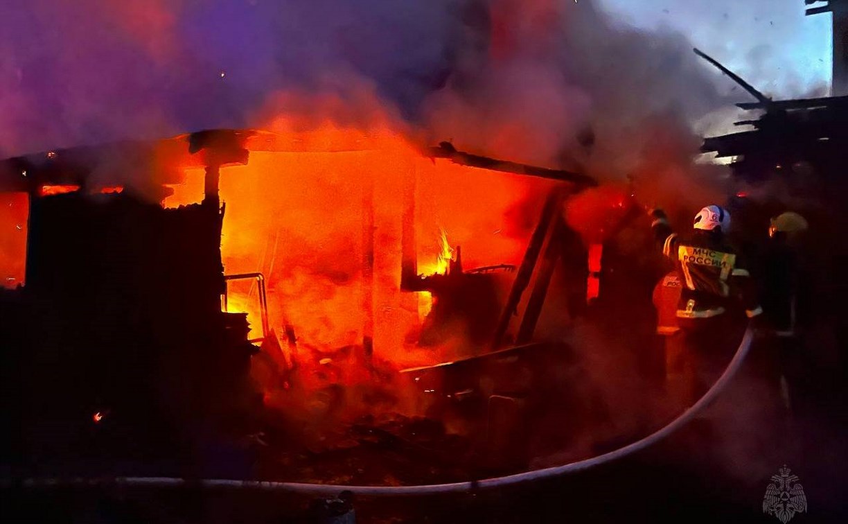 Во время пожара на Сахалине сгорели куры 