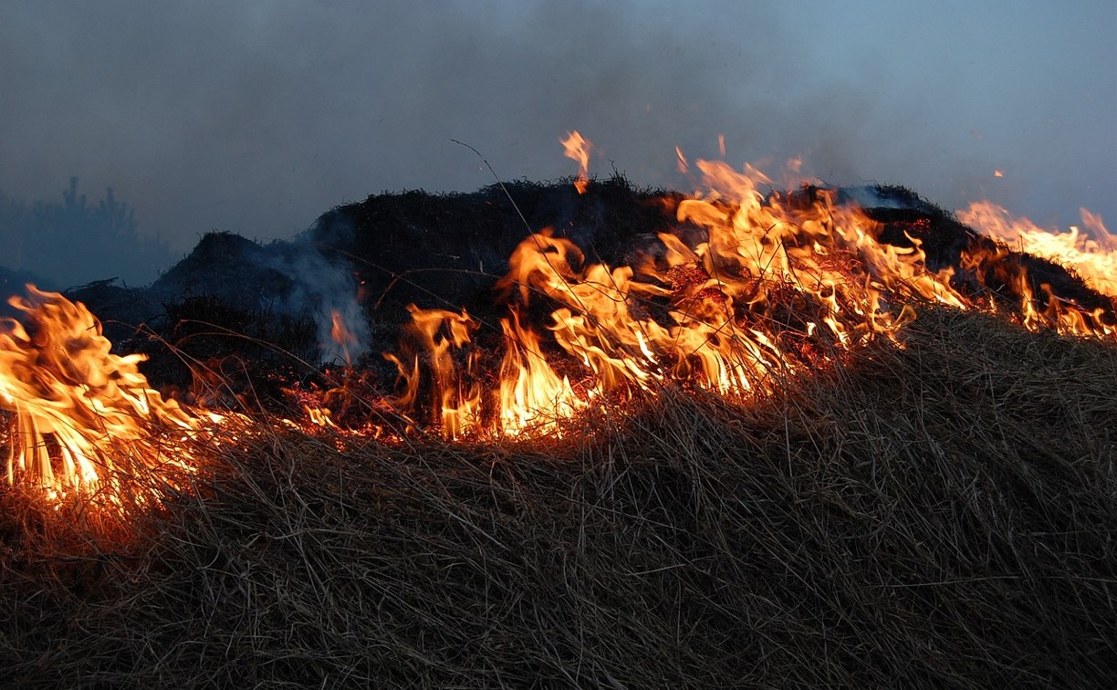 На Сахалине выгорело 15 тысяч "квадратов" травы - огонь едва не перешёл на лес