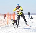 Сахалинцы заняли первое место в соревнованиях по ездовому спорту «Амурская метель-2017» 