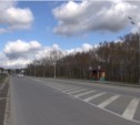 Скелетированный женский труп обнаружили недалеко от автобусной остановки в Южно-Сахалинске (ФОТО)