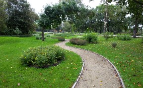 Новую зону отдыха обустроят в парке Южно-Сахалинска 