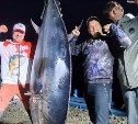 Выпрыгнул из воды серебристый "Фит": тунцы-гиганты подошли к берегам Сахалина