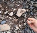 Тысячи мальков горбуши погибают на берегу устья сахалинской реки Нитуй