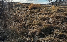 Общество
