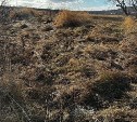 Возле Троицкого расчистили несанкционированную свалку