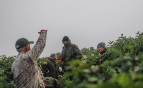 Общество