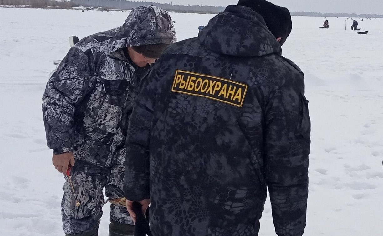 16 нарушений на водных объектах Сахалина выявили сотрудники Росрыболовства за неделю