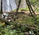"Настоящие свиньи": люди превращают Клоковский водопад в свалку