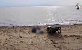 Происшествия