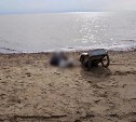 Труп обнаружили на берегу моря в Александровск-Сахалинском районе