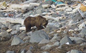 Общество