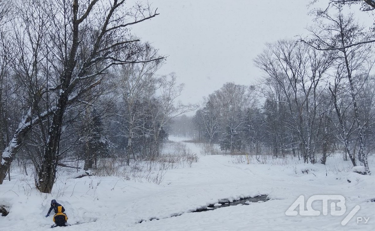 Порывистый ветер на побережьях сохранится - синоптики о погоде на юге Сахалина 12 апреля