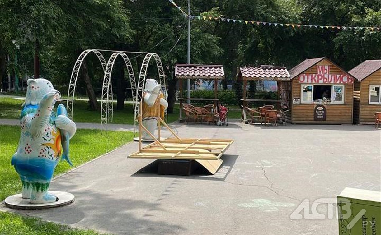 В парке Южно-Сахалинска рядом с детьми упала деревянная конструкция