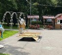 В парке Южно-Сахалинска рядом с детьми упала деревянная конструкция
