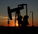 Экспертов приглашают поучаствовать в международном энергетическом форуме "Нефть и газ Сахалина"