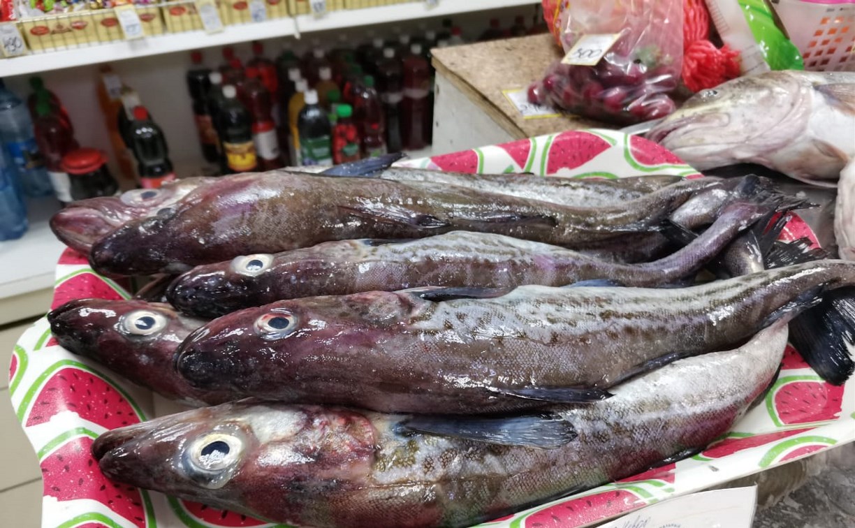 Свежую рыбу привезли на продажу в Углегорский район