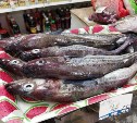 Свежую рыбу привезли на продажу в Углегорский район