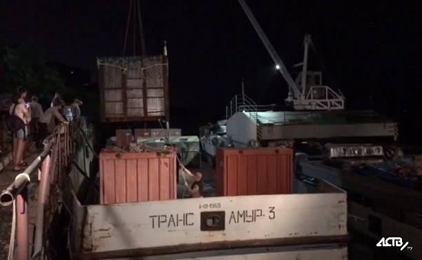 Трех касаток из «китовой тюрьмы» погрузили на судно в Хабаровске