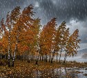 Ураган обрушится на Северо-Курильск - предупреждение