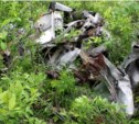 Обломки военного воздушного разведчика Ту-2 найдены на Сахалине