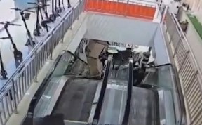 Общество