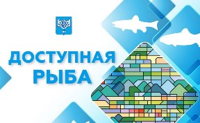 Общество