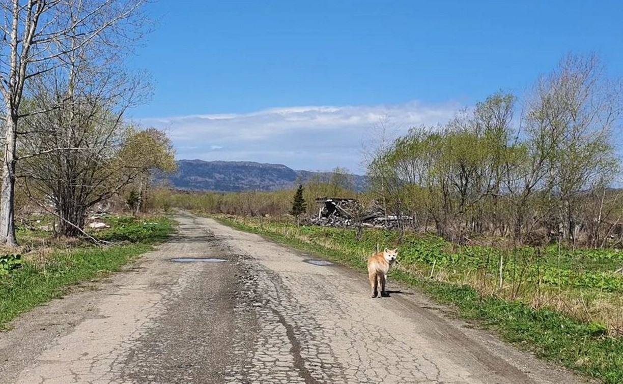 Туристы показали деревню-призрак на Сахалине