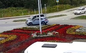 Общество