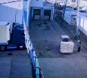 Сахалинскому бизнесмену предъявили обвинения в контрабанде рыбы и икры на 19,5 млн рублей
