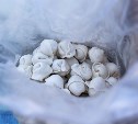 Фестиваль пельменей прошел в Южно-Сахалинске